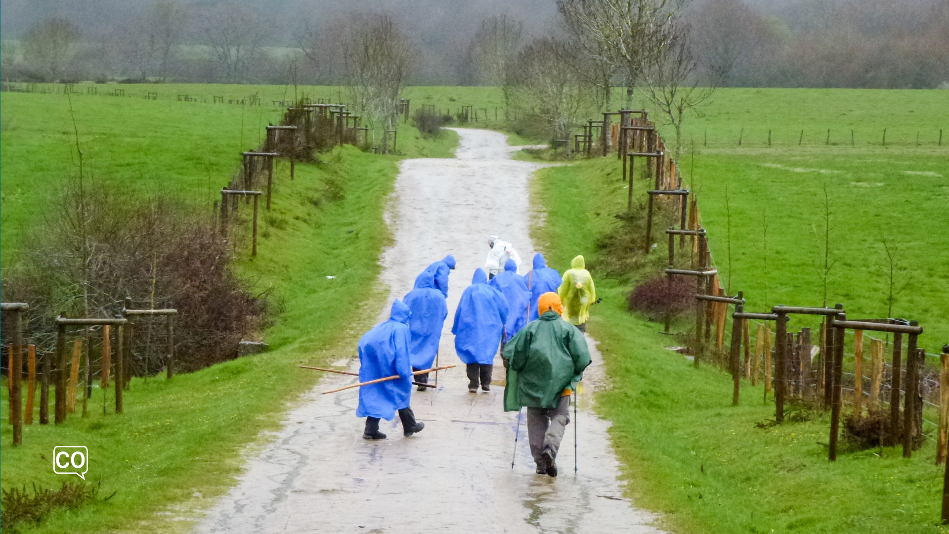 de Camino de Santiago