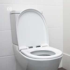  El váter: het toilet (Spaans)