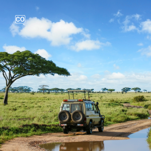  El safari: De safari (Spaans)