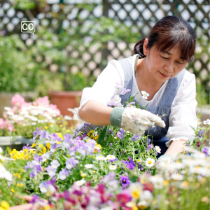  La jardinería: Tuinieren (Spaans)