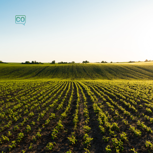  La agricultura: De landbouw (Spaans)